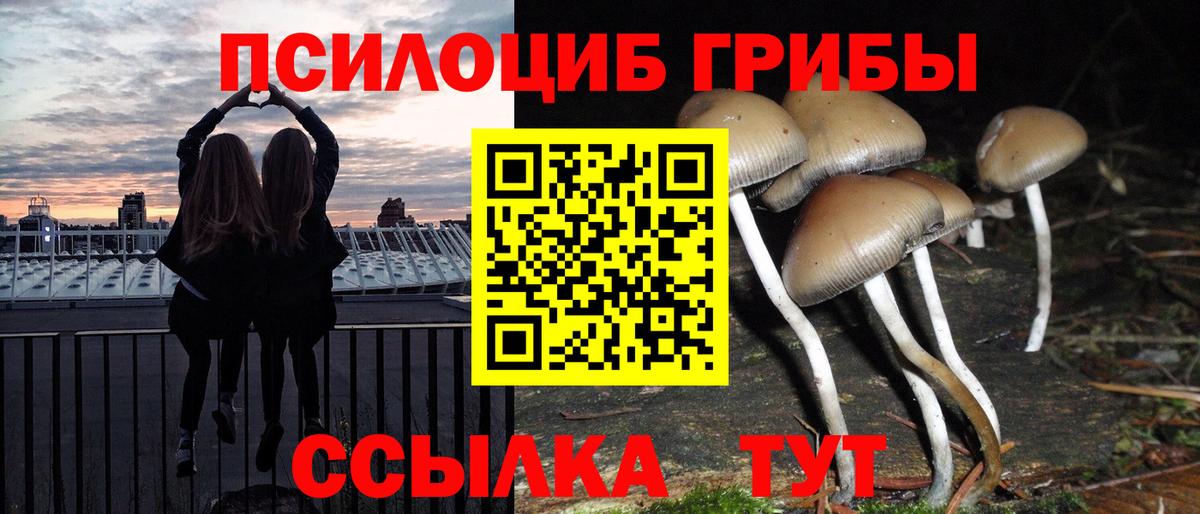 Галлюциногенные грибы MAGIC MUSHROOMS Барабинск